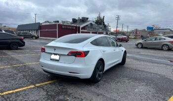 2019 Tesla Model 3 Standard Range Plus full