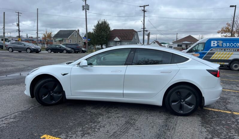 2019 Tesla Model 3 Standard Range Plus full